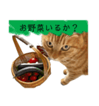 River side〰️（個別スタンプ：7）