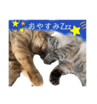 River side〰️（個別スタンプ：8）