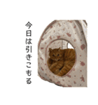 River side〰️（個別スタンプ：30）