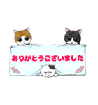 EMBAUMER×プロヴァンスに暮らす猫たち（個別スタンプ：6）