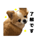 イルちゃん(世界一かわいい)（個別スタンプ：32）