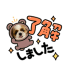 シーズー犬アレンくん（個別スタンプ：8）