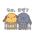 たれみみうさぎのみかん＆らいむ01（個別スタンプ：3）