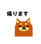 《柴犬》金沢区生活♪（個別スタンプ：8）