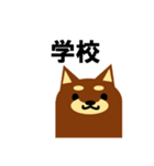 《柴犬》金沢区生活♪（個別スタンプ：15）