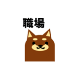 《柴犬》金沢区生活♪（個別スタンプ：17）