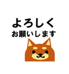 《柴犬》金沢区生活♪（個別スタンプ：26）