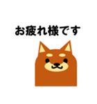 《柴犬》金沢区生活♪（個別スタンプ：27）