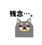 《柴犬》金沢区生活♪（個別スタンプ：36）