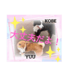 えりますスタンプ第5弾（個別スタンプ：8）