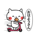 毎日使える☆白ネコの大阪弁（個別スタンプ：1）