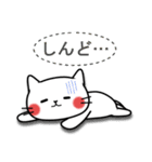 毎日使える☆白ネコの大阪弁（個別スタンプ：37）