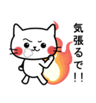 毎日使える☆白ネコの大阪弁（個別スタンプ：38）