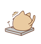 饅頭にゃんこ(Autumn)（個別スタンプ：24）