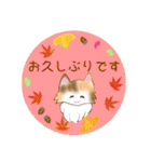 綺麗な猫らいらい♡あいさつ秋編♡（個別スタンプ：31）