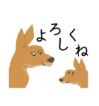 アルファベットどうぶつのなかまたちvol.1（個別スタンプ：3）