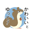 アルファベットどうぶつのなかまたちvol.1（個別スタンプ：14）