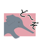 アルファベットどうぶつのなかまたちvol.1（個別スタンプ：16）