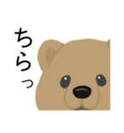 アルファベットどうぶつのなかまたちvol.1（個別スタンプ：20）