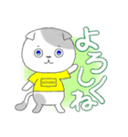 猫CHAN 日常挨拶（個別スタンプ：14）