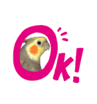 色とりどりオカメ(修正版)（個別スタンプ：7）