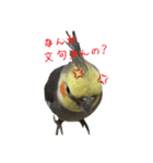 色とりどりオカメ(修正版)（個別スタンプ：17）