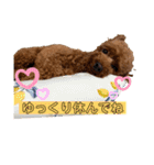 つなちゃんのスタンプ5（個別スタンプ：8）
