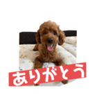 つなちゃんのスタンプ5（個別スタンプ：9）