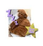 つなちゃんのスタンプ5（個別スタンプ：11）