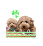 といぷーどる(仮)（個別スタンプ：4）