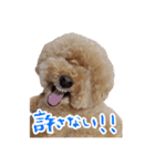 といぷーどる(仮)（個別スタンプ：6）