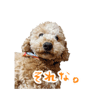 といぷーどる(仮)（個別スタンプ：12）