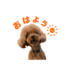 HAWAIIAN DOG 3（個別スタンプ：1）