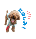 HAWAIIAN DOG 3（個別スタンプ：3）