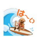HAWAIIAN DOG 3（個別スタンプ：5）
