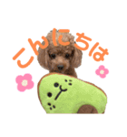 HAWAIIAN DOG 3（個別スタンプ：7）