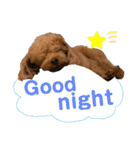 HAWAIIAN DOG 3（個別スタンプ：8）