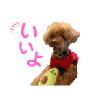 HAWAIIAN DOG 3（個別スタンプ：9）