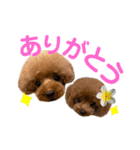 HAWAIIAN DOG 3（個別スタンプ：10）