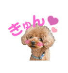 HAWAIIAN DOG 3（個別スタンプ：12）