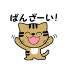 トンちゃんってこんな猫（個別スタンプ：1）
