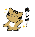トンちゃんってこんな猫（個別スタンプ：4）