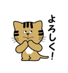 トンちゃんってこんな猫（個別スタンプ：5）