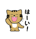 トンちゃんってこんな猫（個別スタンプ：8）