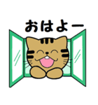 トンちゃんってこんな猫（個別スタンプ：9）
