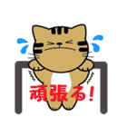 トンちゃんってこんな猫（個別スタンプ：12）