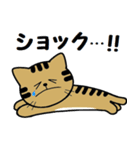 トンちゃんってこんな猫（個別スタンプ：15）