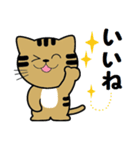 トンちゃんってこんな猫（個別スタンプ：16）