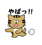 トンちゃんってこんな猫（個別スタンプ：19）
