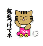 トンちゃんってこんな猫（個別スタンプ：22）